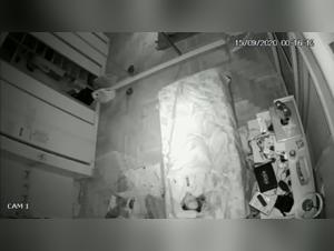 Zoophilia Video: Man and Dog in an Intimate Relationship