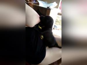 Extreme Puppy Feeding: A Shocking Bestiality Experience