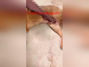 chinesische frau und ihre hundebegeisterung
