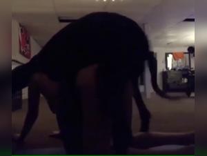 An Unforgettable Beastly Experience