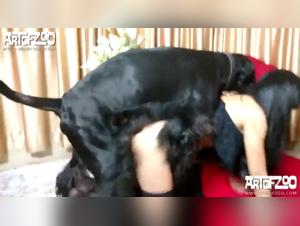 Intimate Moments with Canine Friends: AOZ's Bestiality Videos