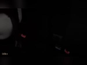 Woman and dog: a shocking bestiality video