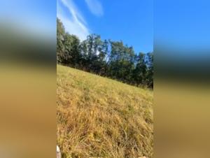 Bestiality Sex with Dog - Amateur Videos