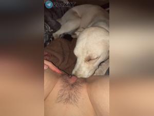 Tierischer Lustgewinn: Hund & Frau