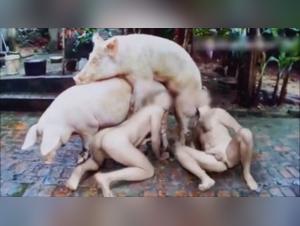 Tier-Sex: Mädchen mit Hund, Teil 1