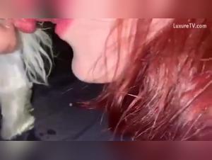 Beyond the Leash: Animal Intimacy