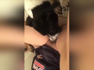 Dog sex video: a young girl and her dog in a hard scene