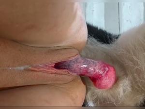 Bear Grunts Hot Chick