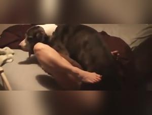 Bestiality: a woman and a dog in a shocking video