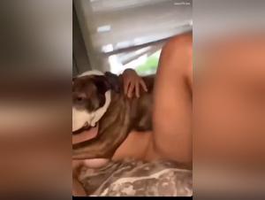 Woman and her dog in shocking bestiality video