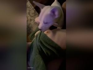 tradimento bestiale: sesso con il mio cane mentre lui dorme