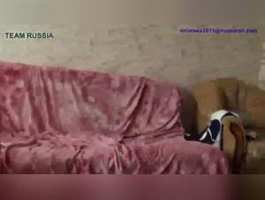 Young Julia's Extreme Bestiality Experience with TeamRussia