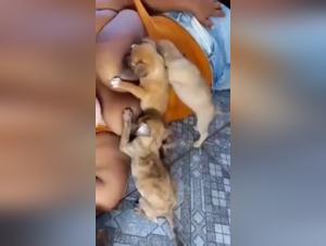 Intimacy with a dog: a story of milk and tenderness