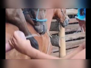 Bestial Encounter: Blonde and Horse