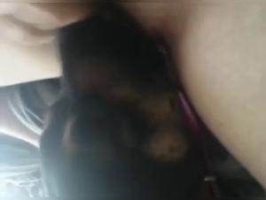 Video of Sex with a Dog