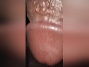 Taboo Encounters: Forbidden K9 Intimacy