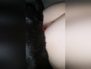 Exclusive zoophilia video: a woman and her dog