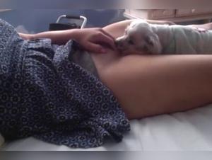 Bestiality sex video with an 18 year old woman and her dog