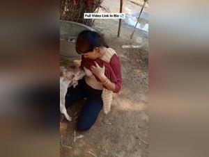 Delving into Forbidden Animal Interactions