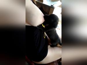 Woman breastfeeding puppy in shocking zoophilia scene