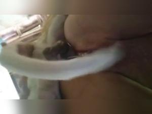 Video of Sex with a Dog