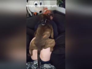 Zoophilia art with a dog