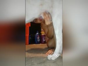 Chica foca perro Parte 1