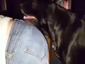 dark desires: behind the lens