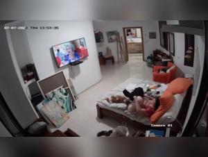 Hidden bestiality video: a woman and a dog