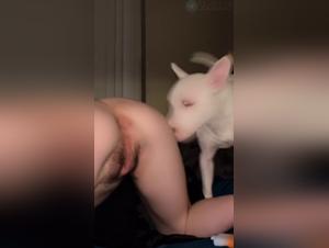 Girl Dog Fucked, Extreme Licking