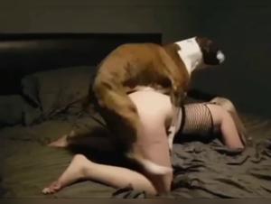 Perro Follando a Mujer - Zoophilia Extrema