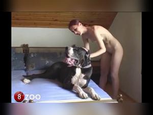 monika: bestialità, schiava e cane immenso