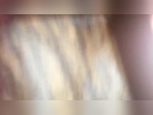 Zoophilia: A woman and her dog in a shocking video