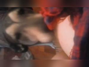 Bestiality sex videos featuring dogs