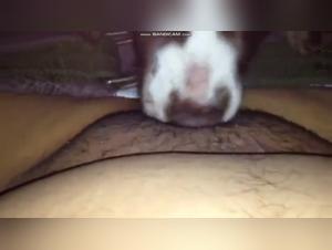 Woman and Dog: A Passionate Encounter