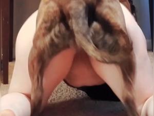 Untamed Desires: A Forbidden Realm