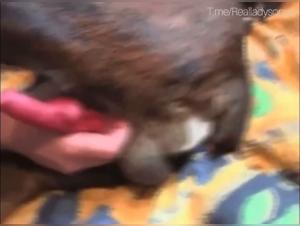 Zoophilie: Schwarzäugige Blonde wird gelutscht
