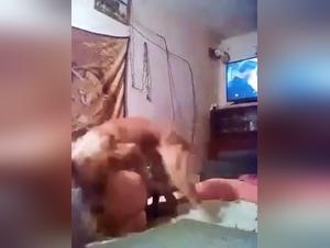 Exploring Canine Desire with Denise Frazier