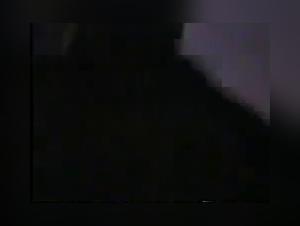 Delicia: A bestial and intense encounter on video