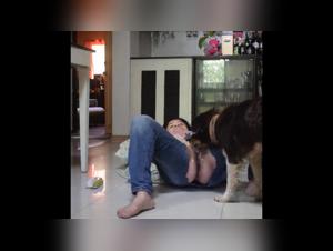Hund Leckt Verlogen