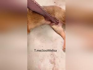 Chinesin Weibl piesst Hund Teil 3