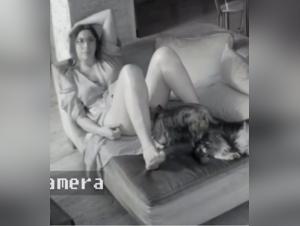 delving into taboo animal realms