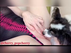 Doggy Pleasure Compilation - Lick, Suck and Play