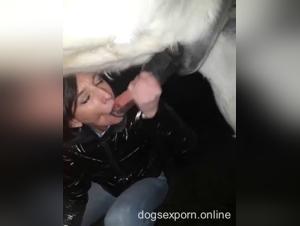 Woman enjoys sex with her horse and big dick, animal fuck, brunette prostitute sucks dog