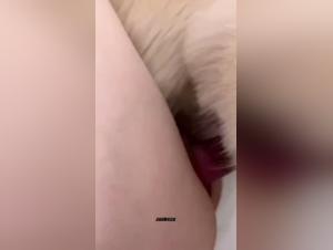 Unveiling the K9 Power Dynamic