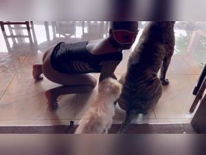 Bestiality Zoophilia: Sexy Video Porn with Men and Women at 20 Years Old