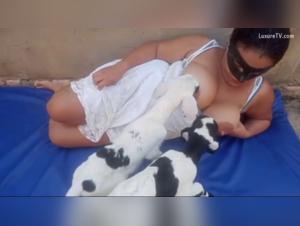 art of zoo soziale verantwortung