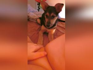 Sex with a dog: BBW and dog