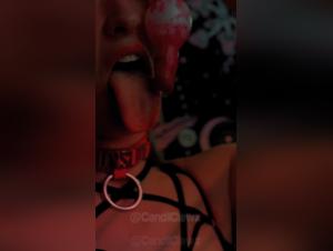 zoofile tube stories