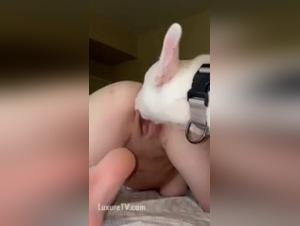Hot Salope Baise Chien Vidéo X